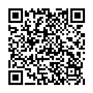 那此刻坐镇在自家领地上的域主怕是凶多吉少了二维码生成