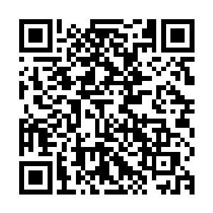 那段时间还真是自己从军以来难得的自由清闲而又快乐时光……二维码生成