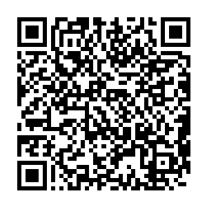 那段毕生难忘的经历让他们觉得虎神大人好像并没有离他们那么遥远二维码生成
