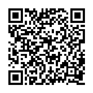 那毒蟒的身躯竟然以极快的速度干瘪枯萎了起来二维码生成
