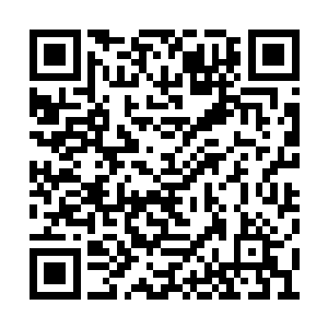 那毒针上的毒素瞬间就是蔓延至了苏清水的全身二维码生成