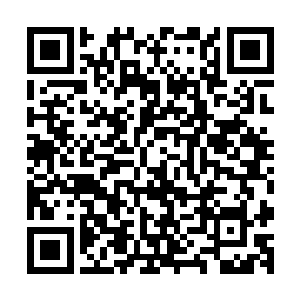 那毒龙虽然及时感受到了霍君白召出的几根尖桩带來的压迫感二维码生成