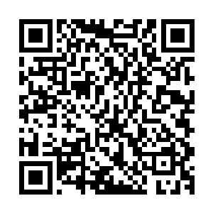 那气流带起的砂石如同海浪一般贴着玄奘伏地的身躯刷了过去二维码生成