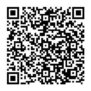 那汇聚了自己一周时间整个身体有形与无形能量之和的无漏果到底有什么神奇的功效二维码生成