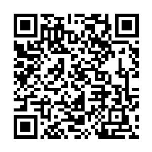 那沐浴在闪电当中的男人就开始对杨风发动了大规模的反击二维码生成