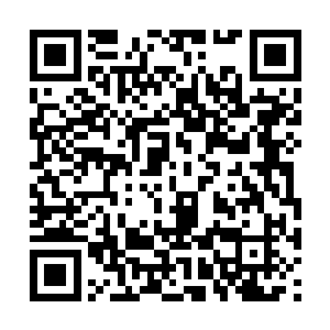 那没有下巴的女鬼应该会和失踪的丫鬟里美有关吧二维码生成