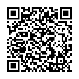 那没有了控制的奴隶骨触须则会直接杀死寄生者二维码生成