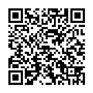 那洋溢在空气中的紧张感很快就在皮肤上着陆下来二维码生成