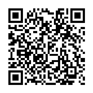 那洪剑门的门主就算是想帮夏天他们也不可能了二维码生成