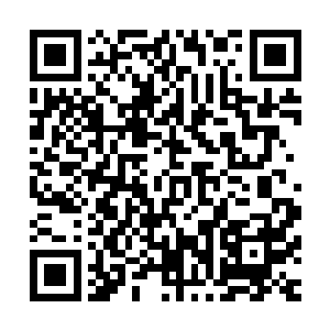 那浮在半空中的其余二十六星君也感觉到了这当中恐怖的意味二维码生成