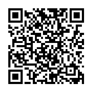 那海域上还存在着的一百多个海贼团员都是愣住了二维码生成