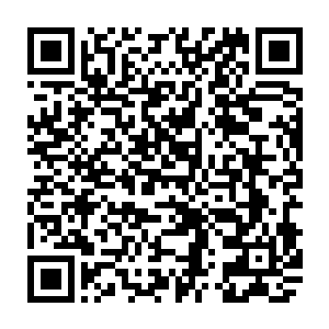 那海量般的仙药都足矣让他们的掌教师尊打造出一支能在仙界驰骋的仙人大军二维码生成
