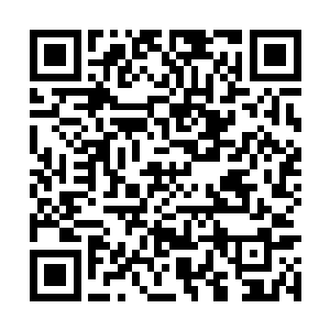 那深深的寒意还有此刻那双杏眼里露出的凶狠目光二维码生成