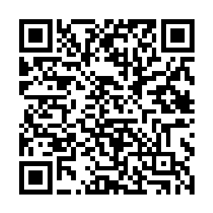那温和俊雅的宁少群骨子里的疯狂也被其激发了出来二维码生成