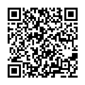 那温暖而干净的琴键音就好像是一片片洁白的羽二维码生成