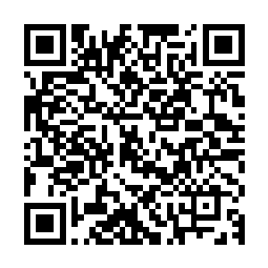 那滔天烈焰也狠狠的撞击在了那土罩和被混沌钟保护的楚旬身上二维码生成