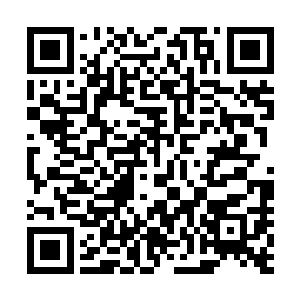 那漫天攻击而来的法宝一碰到那漩涡竟然便掉进了漩涡之中二维码生成