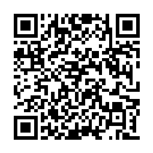 那火手印贴着那红毛巨猿跃起的脚掌下高速掠过二维码生成