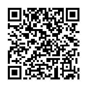 那火焰巨鸟却突地扭头对着另一侧吐出一口火焰二维码生成