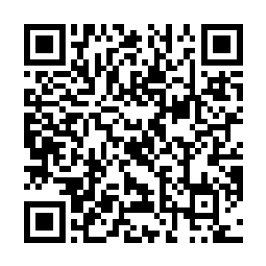 那火鸦之灵在接连吞下两种接近仙级火焰威能的火灵后二维码生成