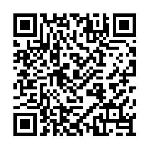 那灰蒙蒙充满了雾气的龙谷似乎被一股狂风席卷二维码生成
