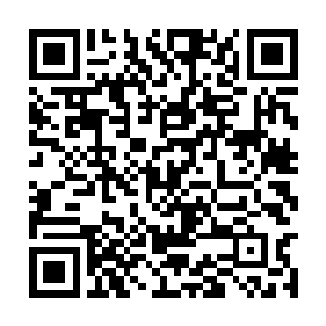 那灵环真人只觉得一股庞大力量从何长安手中涌出二维码生成