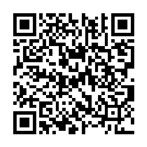 那灼热的充满斗志的视线都快在空气中擦出火花来二维码生成