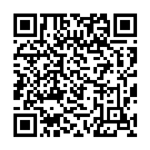 那炼心塔中能领悟的程度还不如我在家中时要学的好呢~二维码生成