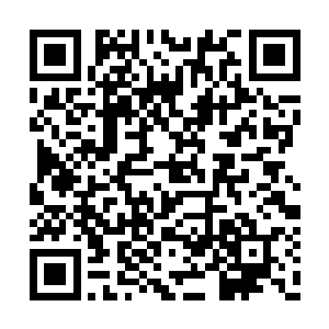 那熊熊蓝焰威力之强就连玲珑也不得不小心应对二维码生成