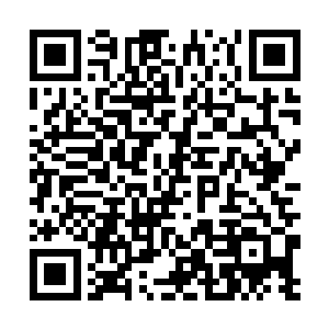 那熟悉的花纹让花无冷冷酷的眼角微不可见的抖了抖二维码生成