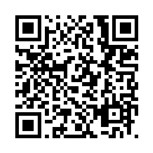 那片区域将巨大石龙和蛮奇都是笼罩二维码生成