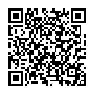 那片笼罩在宫殿和广场外面的剔透禁制瞬间就激活二维码生成