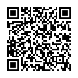 那片荒地已经在他生前和政府达成了协议卖给了政府二维码生成