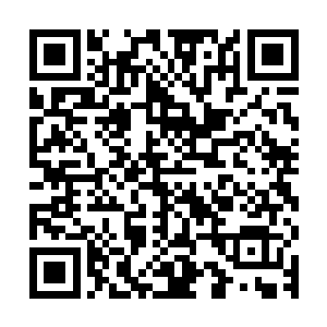 那片银色的光幕在江千凌的这一下斩击之后已经多出了一条裂纹二维码生成