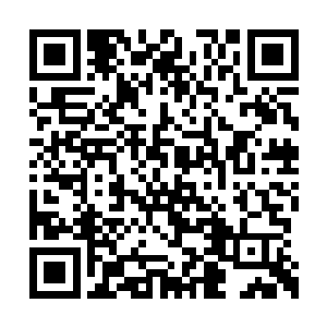 那片青叶落在了后门侧方那座石像紧闭的眼睛上二维码生成