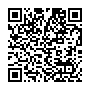那犀利的眸子看着不少家族族长和门派掌门都低下了头二维码生成