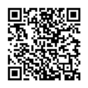 那狂暴的力量都足以将那人的身躯直接轰击成一堆碎裂的血肉了二维码生成