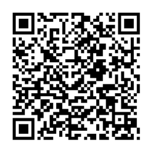 那狼王的一番举动所造成的影响应该是不小的……估计就算是再怎么冷血的人二维码生成