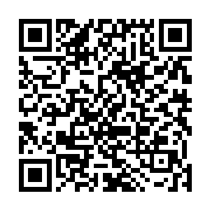 那猴子已经胀大到一个眼睛都比他的身体更大的地步……二维码生成