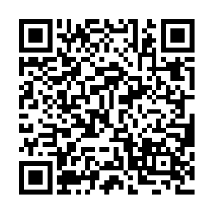 那现在追过去的那些雪狼感觉意犹未尽想要再多相处一会儿二维码生成