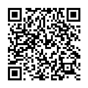 那玻璃罩子和三粒骰子就又被江少游从空间神器中给送了出来二维码生成