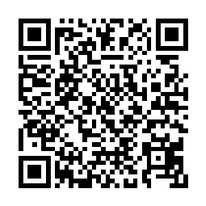 那璀璨如琉璃般清澈的眸子里竟然浮现出了怒意二维码生成