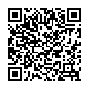 那瓶用来突破魔形术士瓶颈的药剂还是另有玄机二维码生成