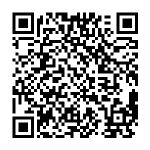 那由铁血神拳烙印在他血肉与灵魂之中的强悍战意开始爆发了出来二维码生成