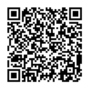 那甲虫的身体所拥有的变色龙一样的特性让甲虫的颜色变成了海棠树树干的颜色二维码生成