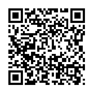 那男子又忽然将目光移到了诸暨子和他徒弟的身上二维码生成