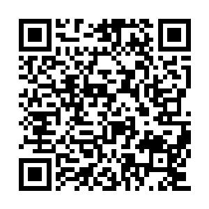 那男子坐下的狼突然却是哀嚎一声瘫软在了地上二维码生成