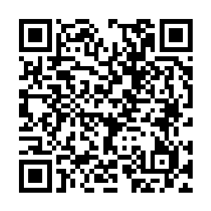 那疯狂的样子让乌溪族的人看了都汗毛直直竖起来二维码生成