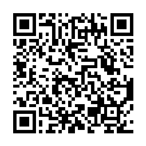 那瘫倒在地上的女尸以肉眼可见的速度迅速开始腐烂了起来二维码生成