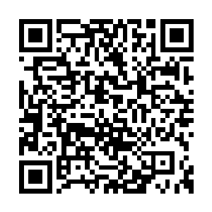 那白花花的一片却是让着林辰的眼睛都有些直了二维码生成